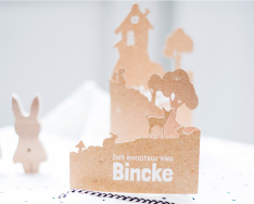 5 TIPS voor een bijzonder geboortekaartje!